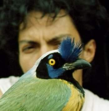 Rescata el hábitat de las aves endémicas