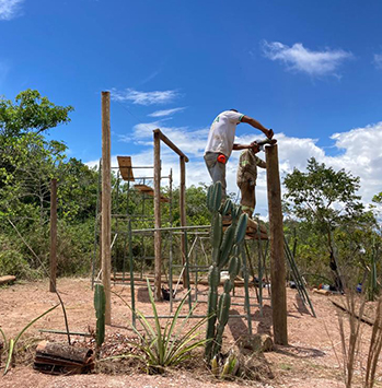 Construyendo el Refugio